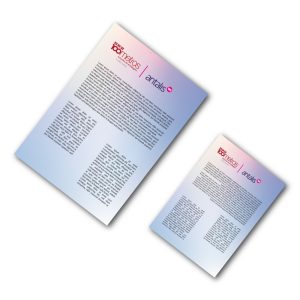 Flyers Personalizados a Cores