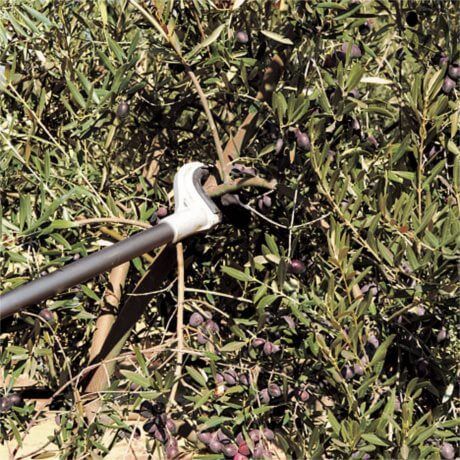 Varejador de Gancho STIHL SP 482 Vara Comprida - Image 3