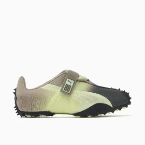 Puma RPT-2 Biology Experiment Wabi-Sabi